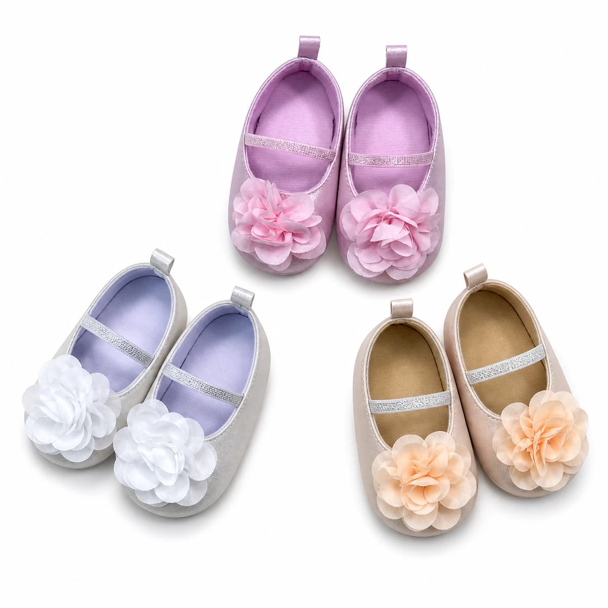 Camellia Mary Jane First Walkers